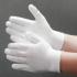 PALM WHITE.jpg
